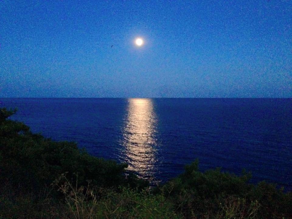 Ventnor Bay House Bed & Breakfast エクステリア 写真